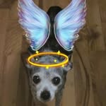 Matthew Froman - @iliketurtez270 - Instagram