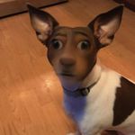 Matthew Fullmer - @matt_7877 - Instagram