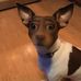 Matthew Fullmer - Facebook