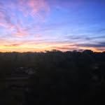 Matthew Garrett Galotera - @matthewgarrettgalotera - Instagram