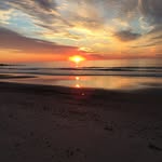 Matthewgalosissavage - @matthewgalosissavage - Instagram