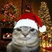Matthew Gabon - Facebook