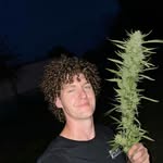 matthew Garson - @cannathetics_420 - Instagram