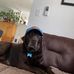 Matthew Gerstner - Facebook