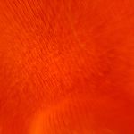 Matthew Gerstner - @matthew.gerstner.golf - Instagram