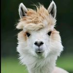 matthewgideon - @matthew_gideon123 - Instagram