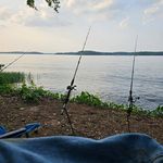 Matthew Goins - @goins7282 - Instagram