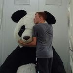 Matthew Golder - @darwindynamite - Instagram