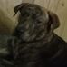 Matthew Grass - Facebook