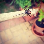 Matthew Gratton - @gratts300 - Instagram