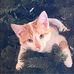Matthew Grau - Facebook