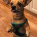Matt Gravely - Facebook