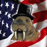 Matthew Gravely - @the_american_walrus - Instagram
