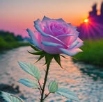 Matthew Gray - Facebook