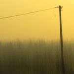Matthew Greenhalgh - @mg2300176 - Instagram