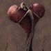 Matt Gribble - Facebook