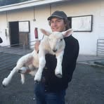 Matt Grippi - Facebook
