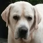 matthew - @matthewgroeneveld10 - Instagram