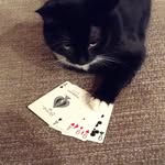 Matthew G - @matthew_groeneveldt - Instagram