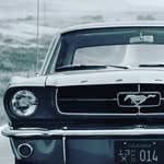 Matthew guillory - @matthew_guillory4 - Instagram