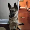 Matthew Gulley - @matthew.gulley08 - TikTok