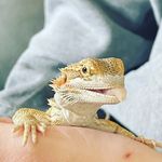 Matthew - @matthewsgummybear206 - Instagram