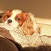 Matthew Gundersen - Facebook