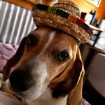 Matthew Halsell - @matthew.halsell - Instagram