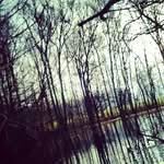 Matthew Hammons - @matthammons2155 - Instagram