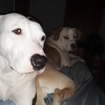 gage matthew harbison - @gage2755 - Instagram