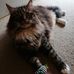 Matthew Hayward - Facebook
