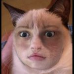 Matthew Hatchette - @hatchettematthew - Instagram