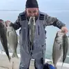 Matthew Haynes - @lakelanierstripersnipers - TikTok