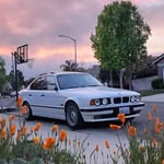 Matthew Haynes - @matt_themonkey - Instagram