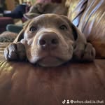 Matthew Coy Hedberg - @matthewcoyhedberg - Instagram
