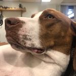 Matthew Heise - @heise_matthew - Instagram