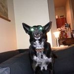 Matthew Heitmann - @matteheit - Instagram