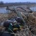 Matt Heitz - Facebook