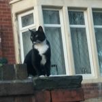 Matthew Helm - @matthew.helm - Instagram