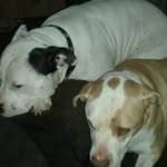 Matthew Helmkamp - @matthewhelmkamp - Instagram