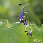 Matthew Hendley - @inventors117 - Instagram
