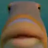 Matthew Henseler - @matthewhenseler - TikTok