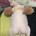 Matthew Hermosillo - Facebook