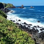 Matthew Hession - @rockerlhlimi - Instagram