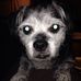 Matthew Hetzel - Facebook