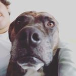 matthew - @matthew_hightower11 - Instagram