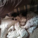 matthew hightower - @matthewhightower - Instagram