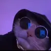 Matthew Hipple - @ttvyumad - TikTok
