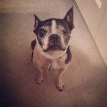 Matthew Holbert - @toolsceda - Instagram