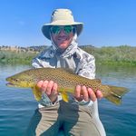 Matthew Homan - @matthewthoman - Instagram